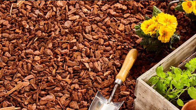 Rindenmulch und Pinienmulch Lieferung und Verkauf in Berlin